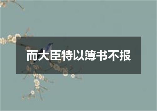 而大臣特以簿书不报