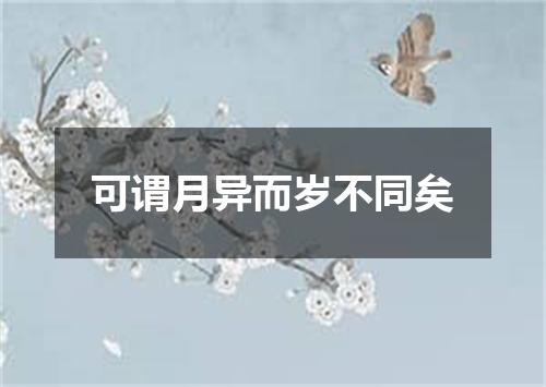 可谓月异而岁不同矣