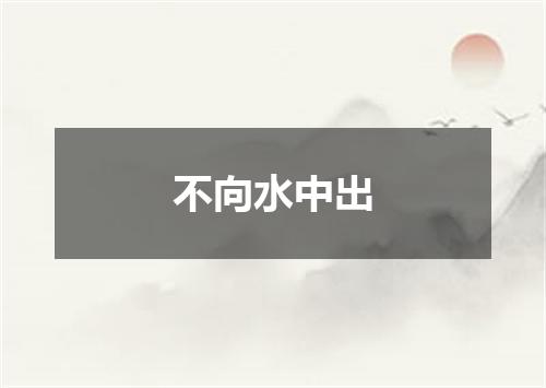 不向水中出