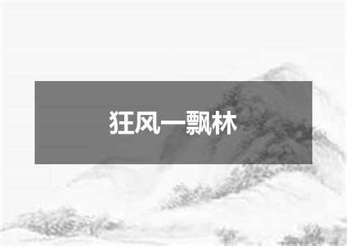 狂风一飘林