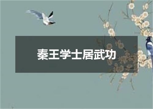 秦王学士居武功
