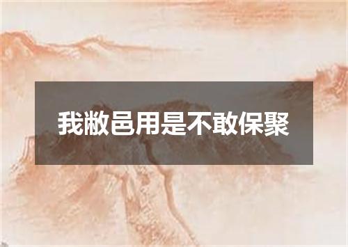 我敝邑用是不敢保聚