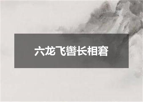六龙飞辔长相窘