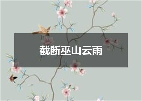 截断巫山云雨