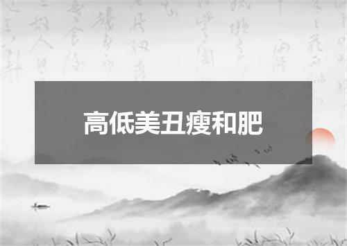 高低美丑瘦和肥