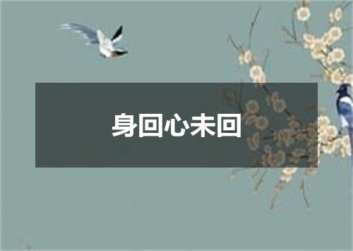 身回心未回