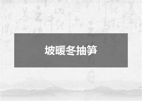 坡暖冬抽笋