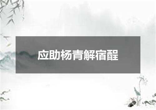 应助杨青解宿酲