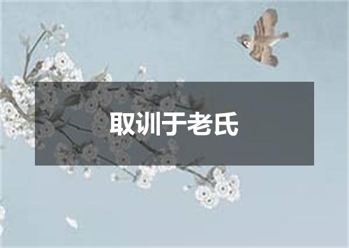 取训于老氏