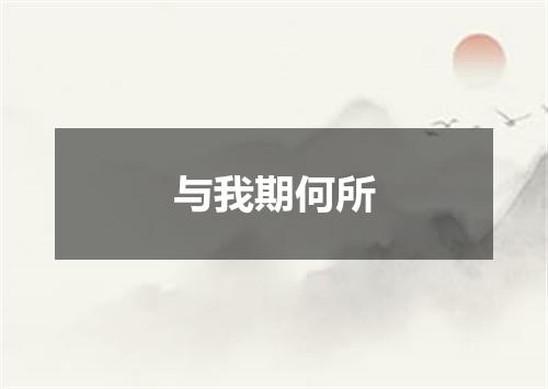 与我期何所