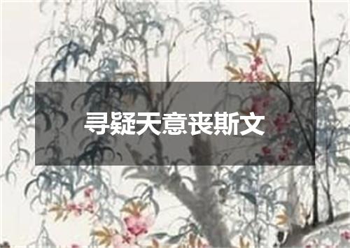 寻疑天意丧斯文