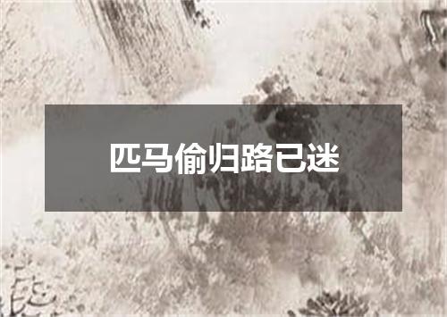 匹马偷归路已迷