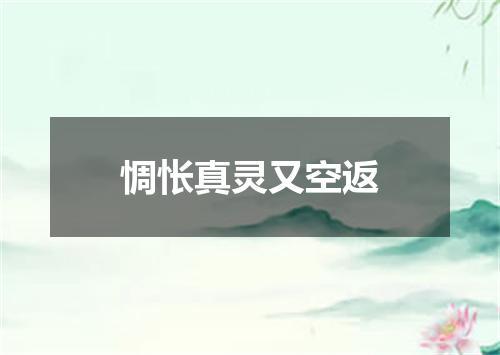 惆怅真灵又空返
