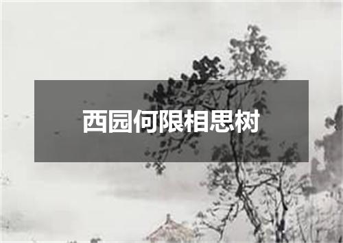 西园何限相思树