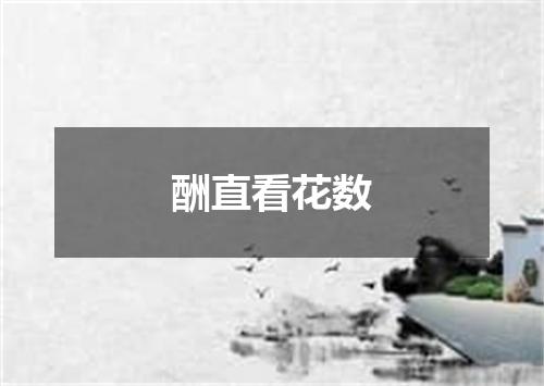 酬直看花数