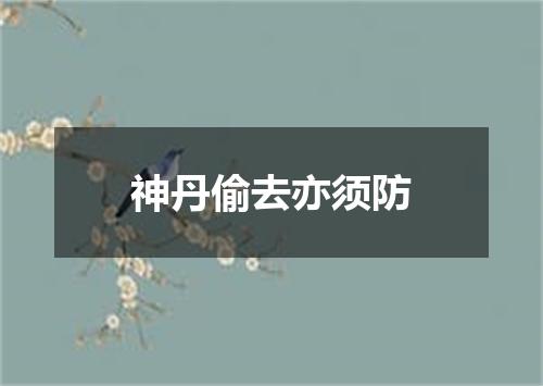 神丹偷去亦须防