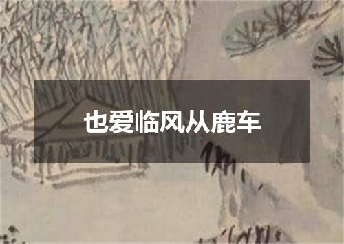 也爱临风从鹿车