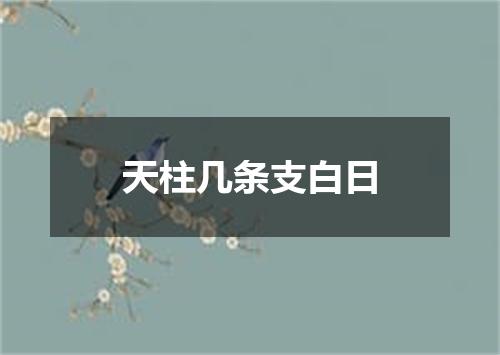 天柱几条支白日