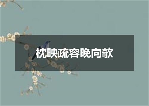 枕映疏容晚向欹