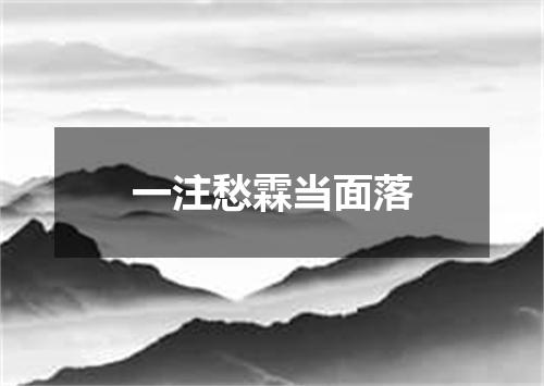 一注愁霖当面落