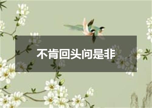 不肯回头问是非