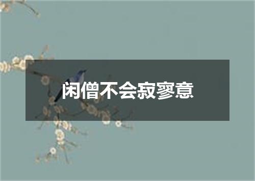 闲僧不会寂寥意