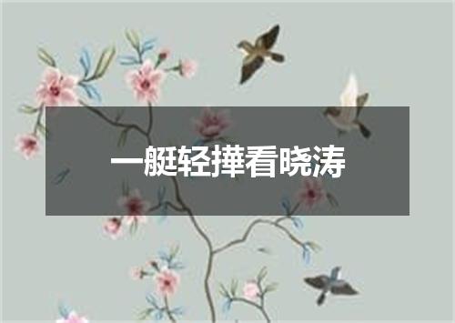一艇轻撶看晓涛