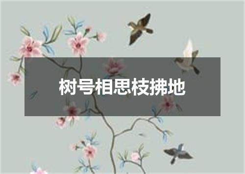 树号相思枝拂地