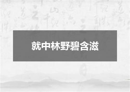就中林野碧含滋