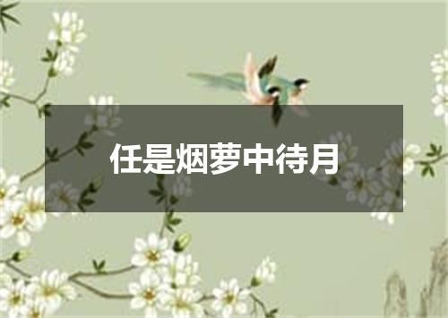 任是烟萝中待月