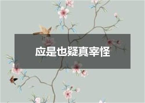 应是也疑真宰怪