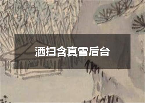 洒扫含真雪后台