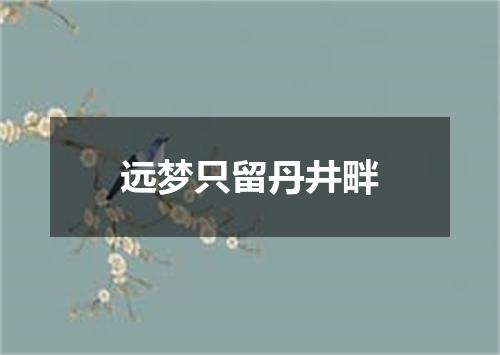 远梦只留丹井畔