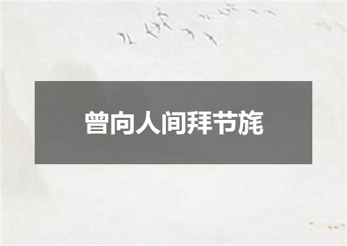 曾向人间拜节旄