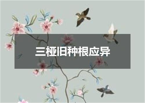 三桠旧种根应异