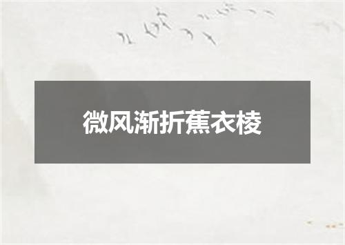 微风渐折蕉衣棱