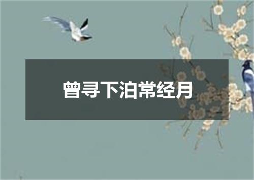 曾寻下泊常经月