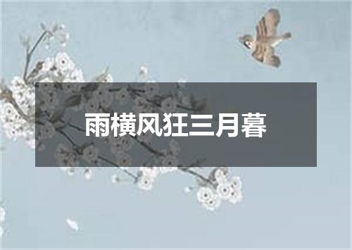 雨横风狂三月暮