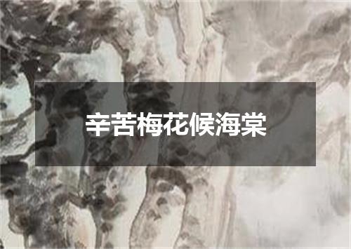 辛苦梅花候海棠