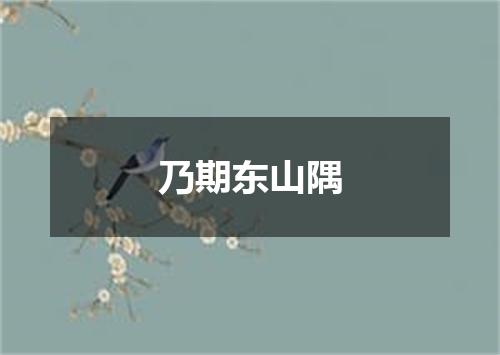乃期东山隅
