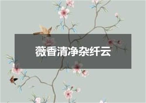 薇香清净杂纤云