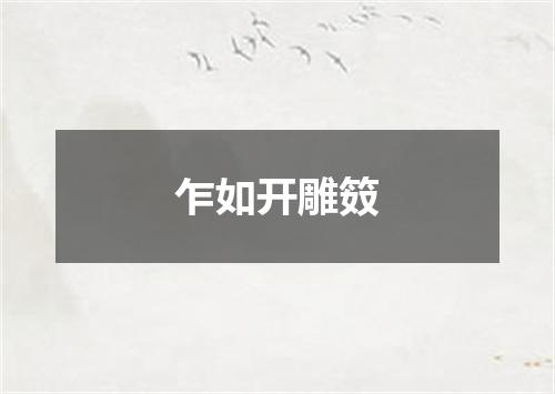 乍如开雕笯