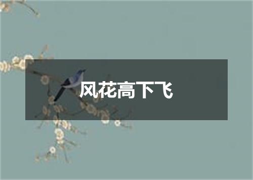 风花高下飞