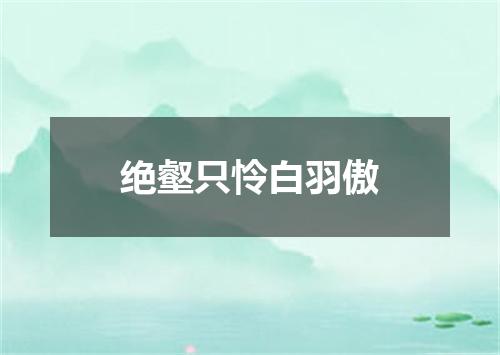 绝壑只怜白羽傲