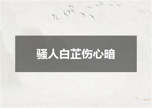 骚人白芷伤心暗