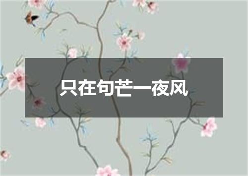 只在句芒一夜风
