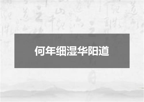 何年细湿华阳道