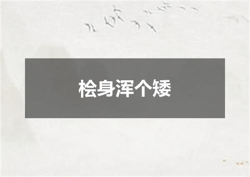 桧身浑个矮
