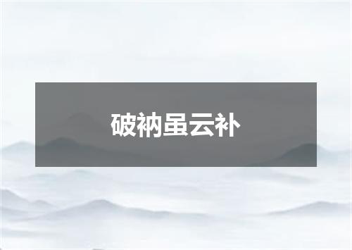 破衲虽云补