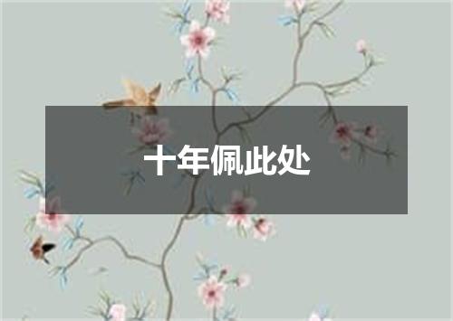 十年佩此处